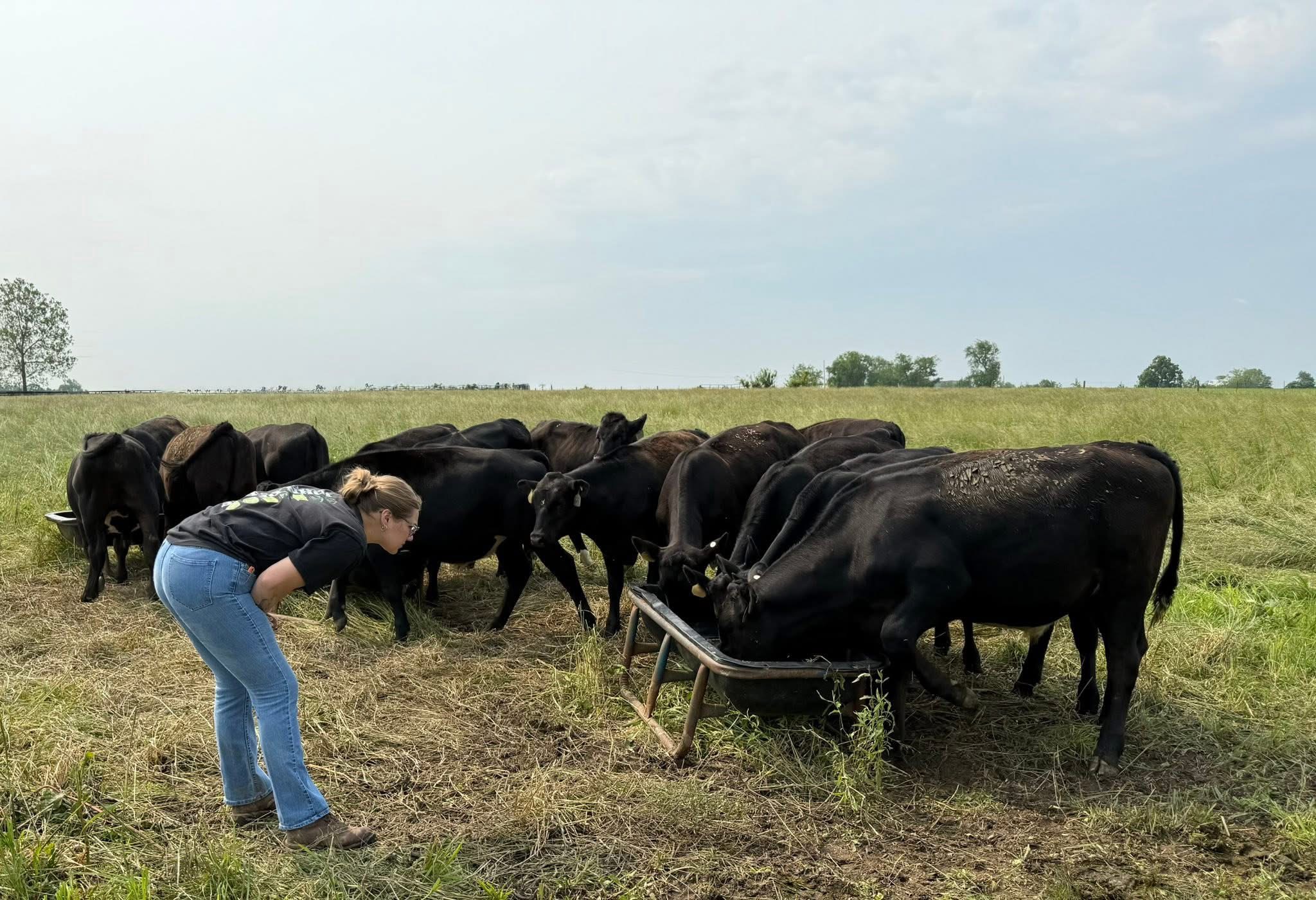 Kimberlyn Price checking on the cattle.